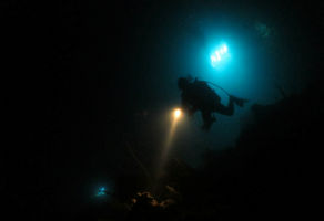 Fujairah Night Diving - 1 Dive with Full Equipment